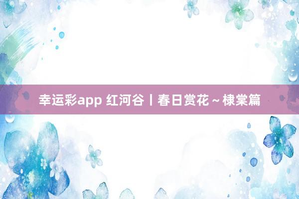 幸运彩app 红河谷丨春日赏花～棣棠篇