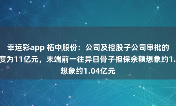 幸运彩app 柘中股份：公司及控股子公司审批的担保额度为11亿元，末端前一往异日骨子担保余额想象约1.04亿元