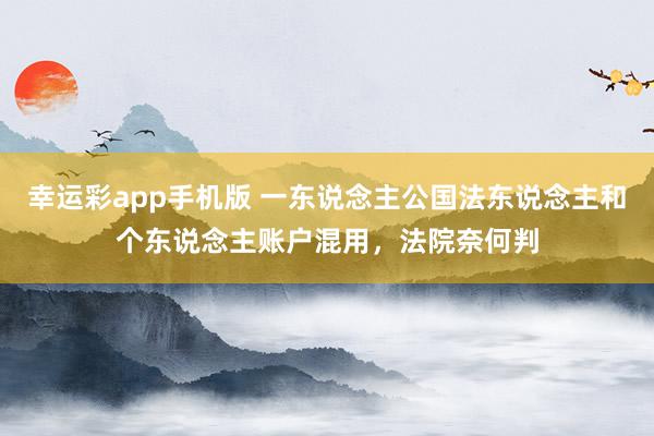 幸运彩app手机版 一东说念主公国法东说念主和个东说念主账户混用，法院奈何判