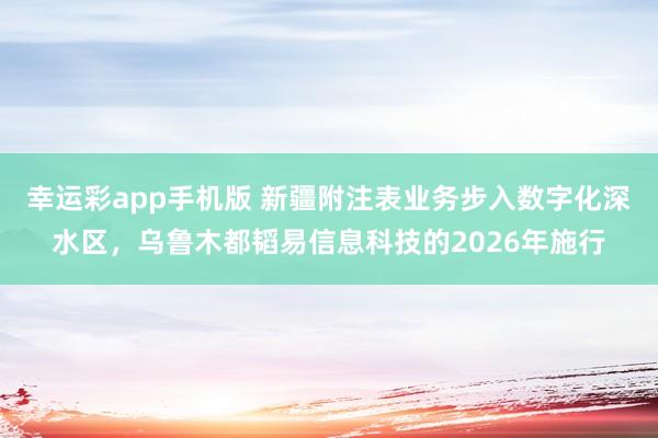 幸运彩app手机版 新疆附注表业务步入数字化深水区，乌鲁木都韬易信息科技的2026年施行